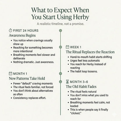 3-in-1 Herbal Diffuser Set – Nicotine-Free Lung Cleanse, Sleep Aid & Energy Boost